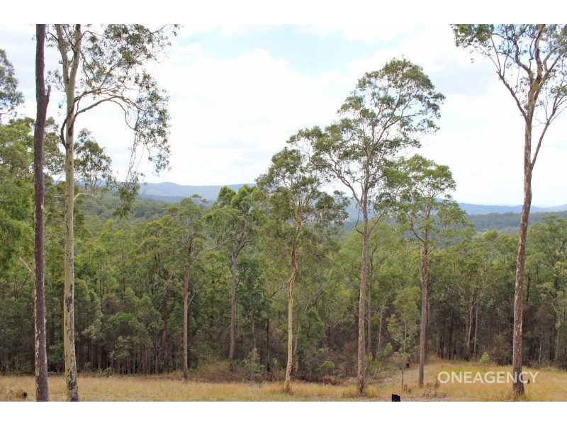 Lot 154 Davis Road, Wittitrin NSW 2440