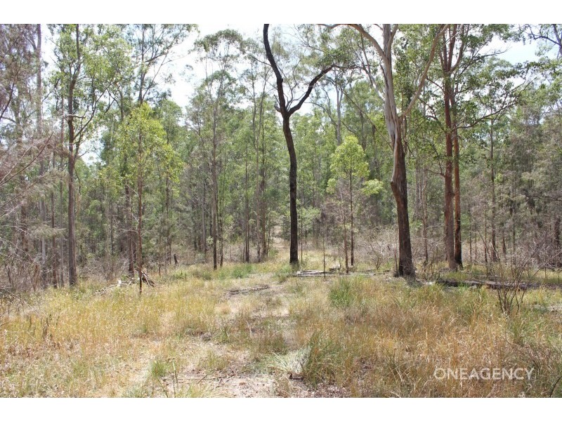 Lot 154 Davis Road, Wittitrin NSW 2440