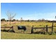 100 Smith Street, Kempsey NSW 2440