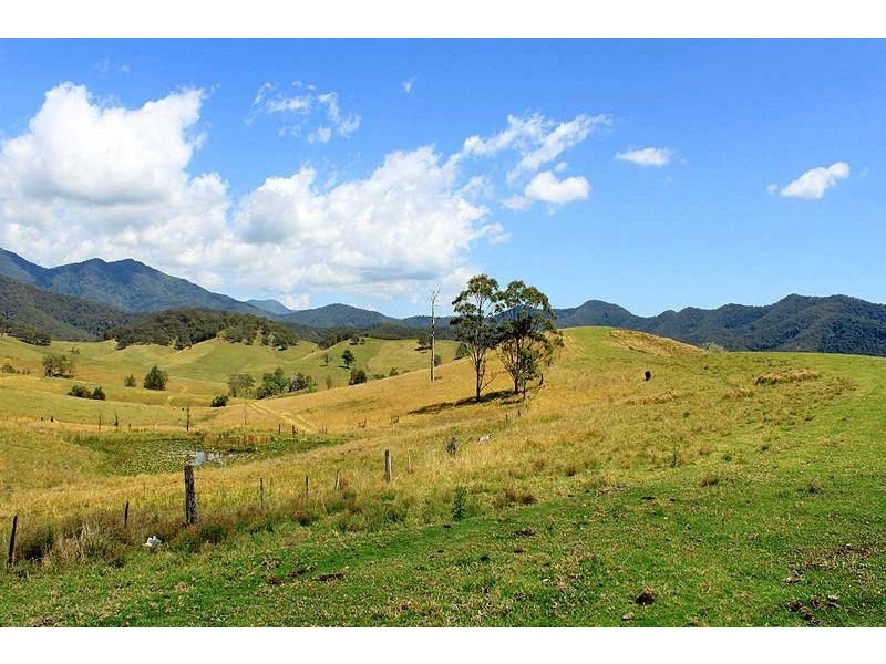 566 Fifes Creek Road, Bellbrook NSW 2440