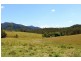 566 Fifes Creek Road, Bellbrook NSW 2440
