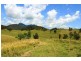 566 Fifes Creek Road, Bellbrook NSW 2440