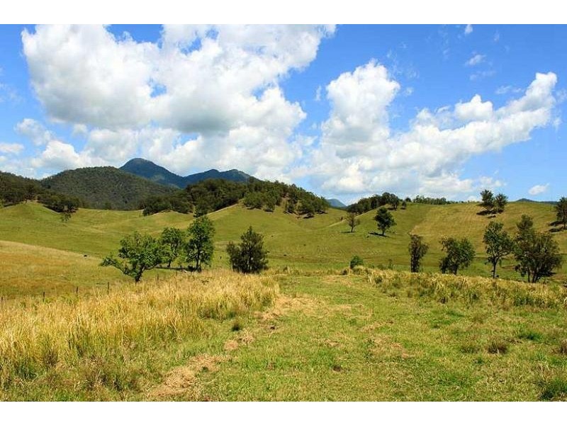 566 Fifes Creek Road, Bellbrook NSW 2440