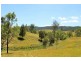 566 Fifes Creek Road, Bellbrook NSW 2440