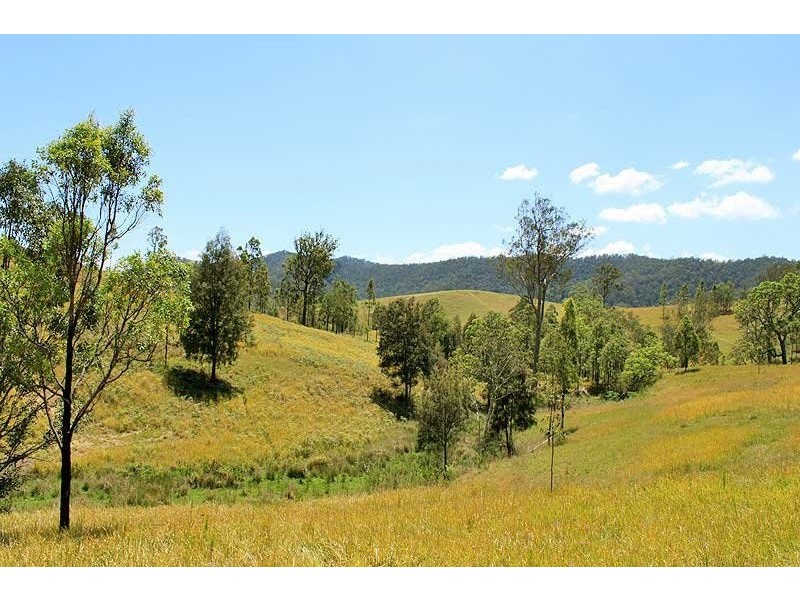 566 Fifes Creek Road, Bellbrook NSW 2440