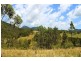 566 Fifes Creek Road, Bellbrook NSW 2440