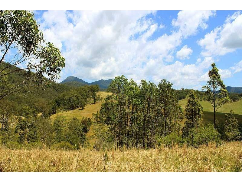 566 Fifes Creek Road, Bellbrook NSW 2440