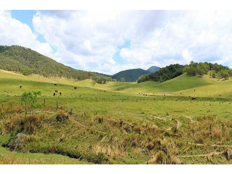 566 Fifes Creek Road, Bellbrook NSW 2440