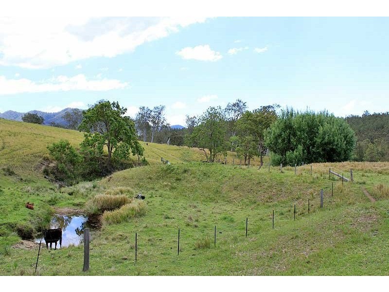 566 Fifes Creek Road, Bellbrook NSW 2440