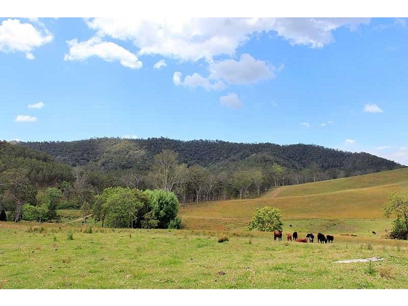 566 Fifes Creek Road, Bellbrook NSW 2440