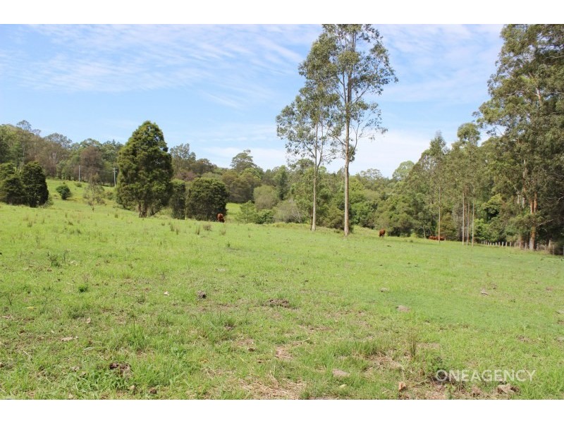 252 Yessabah Road, Yessabah NSW 2440
