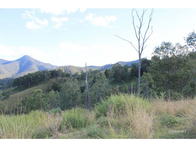 Lot 21,  Five Day Creek Road, Comara NSW 2440