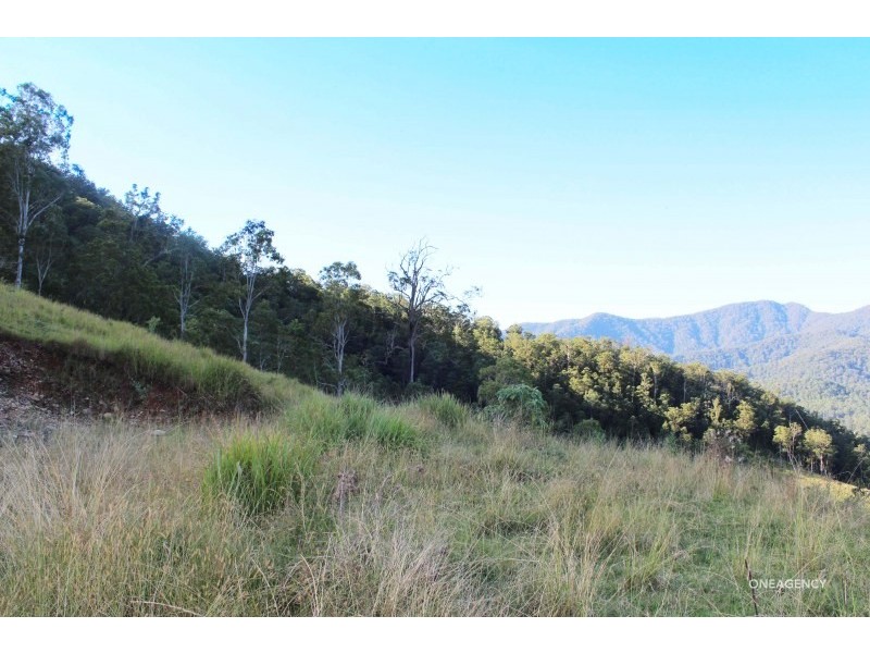 Lot 21,  Five Day Creek Road, Comara NSW 2440