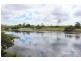 407 Silverwood Avenue, Temagog NSW 2440
