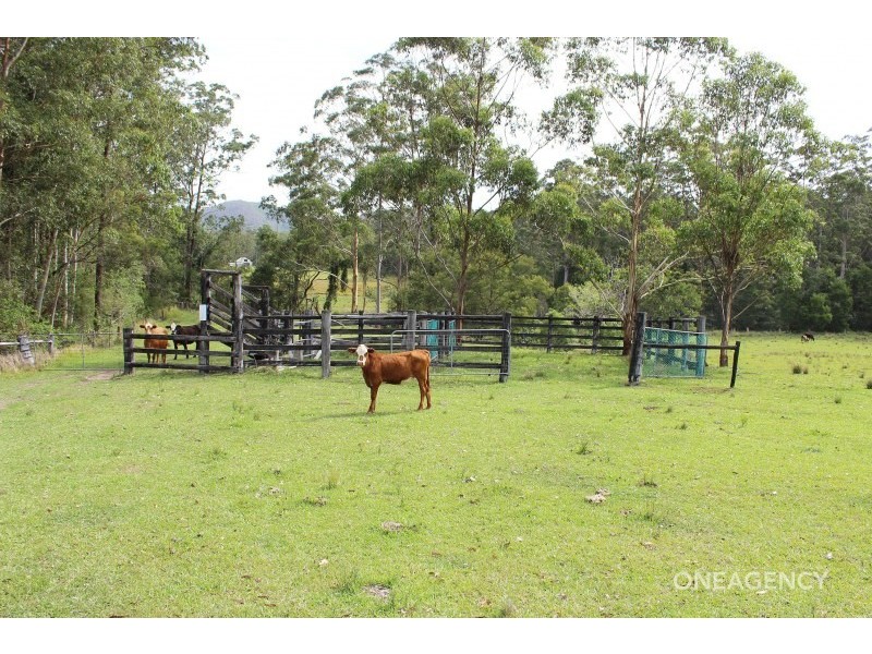 1186 Pipers Creek Road, Dondingalong NSW 2440