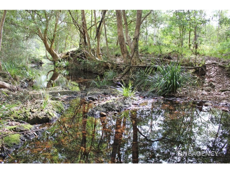 1186 Pipers Creek Road, Dondingalong NSW 2440