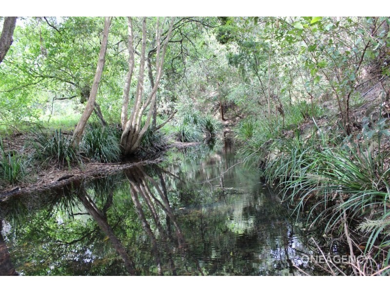 1186 Pipers Creek Road, Dondingalong NSW 2440