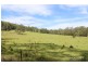 1186 Pipers Creek Road, Dondingalong NSW 2440