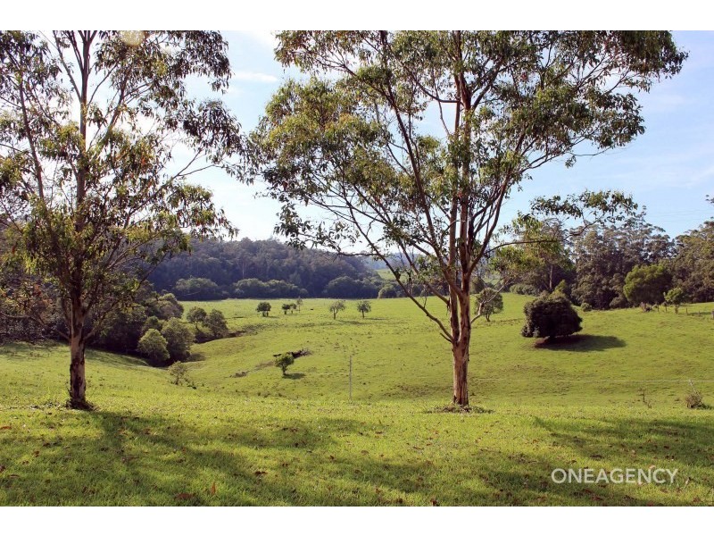 137 Boat Harbour Road, Macksville NSW 2447