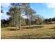 111 Brassils Creek Road, Toorooka NSW 2440