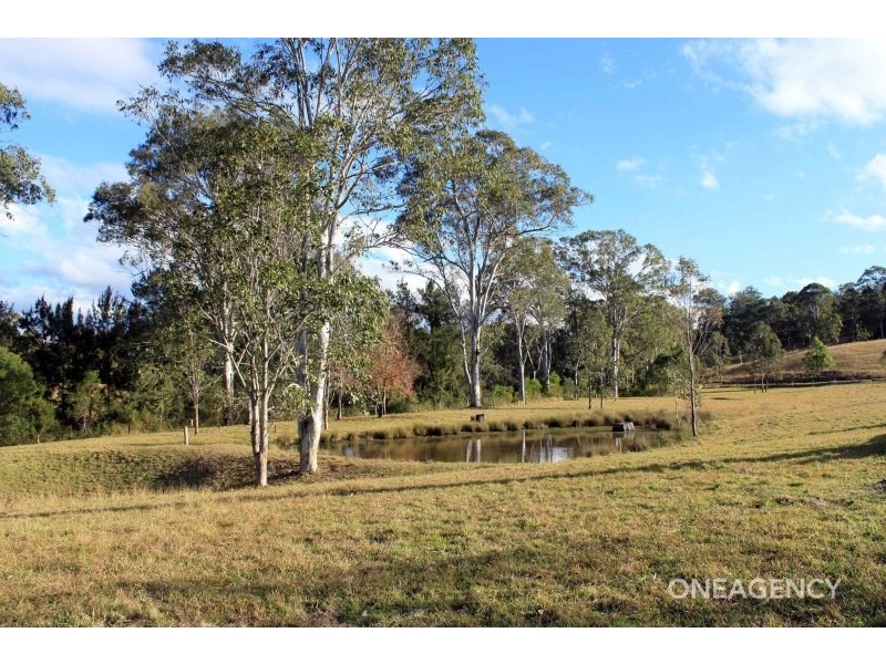 111 Brassils Creek Road, Toorooka NSW 2440