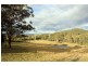 111 Brassils Creek Road, Toorooka NSW 2440