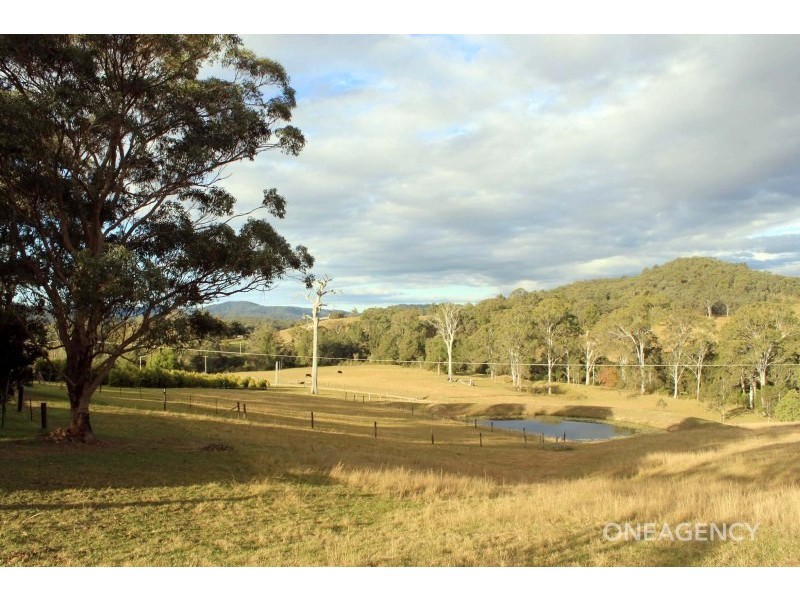 111 Brassils Creek Road, Toorooka NSW 2440