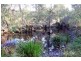 111 Brassils Creek Road, Toorooka NSW 2440