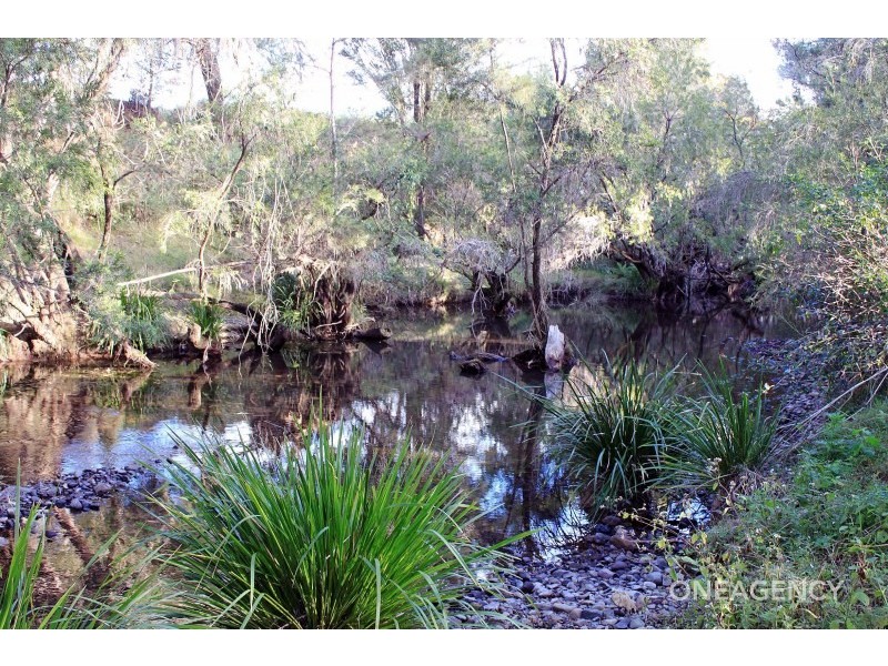 111 Brassils Creek Road, Toorooka NSW 2440