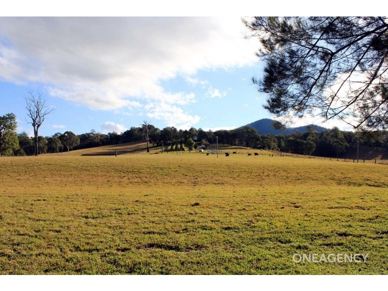 111 Brassils Creek Road, Toorooka NSW 2440