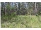 Lot 9, Memory Lane, South Kempsey NSW 2440