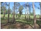 111 Sherwood Road, Aldavilla NSW 2440