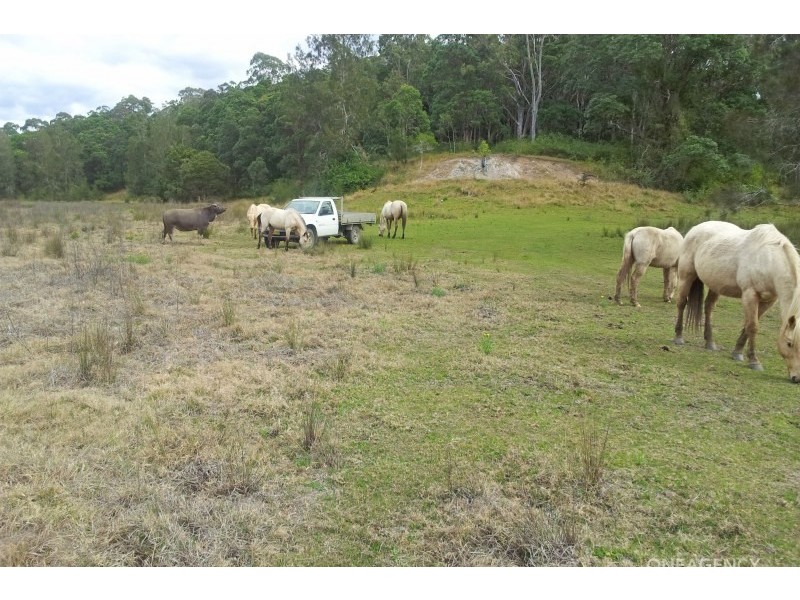 Lot 1 & 2, Seale Road, Belmore River NSW 2440