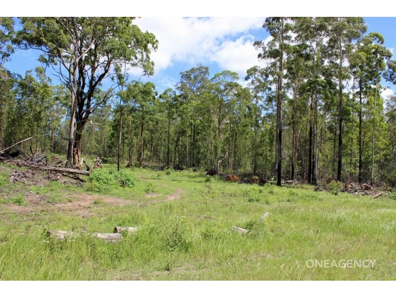 Lot 41 & 42 , Verges Creek Road, Verges Creek NSW 2440