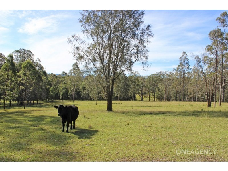 88 Jin-Sha Lane, Mungay Creek NSW 2440