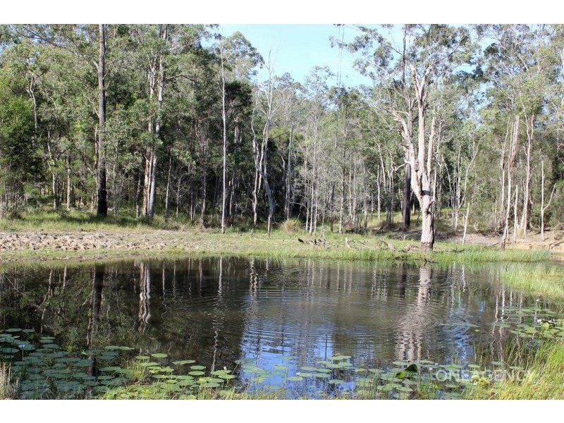 88 Jin-Sha Lane, Mungay Creek NSW 2440