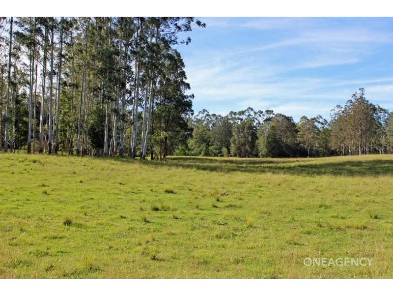 88 Jin-Sha Lane, Mungay Creek NSW 2440