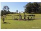 1317 Collombatti Road, Collombatti NSW 2440