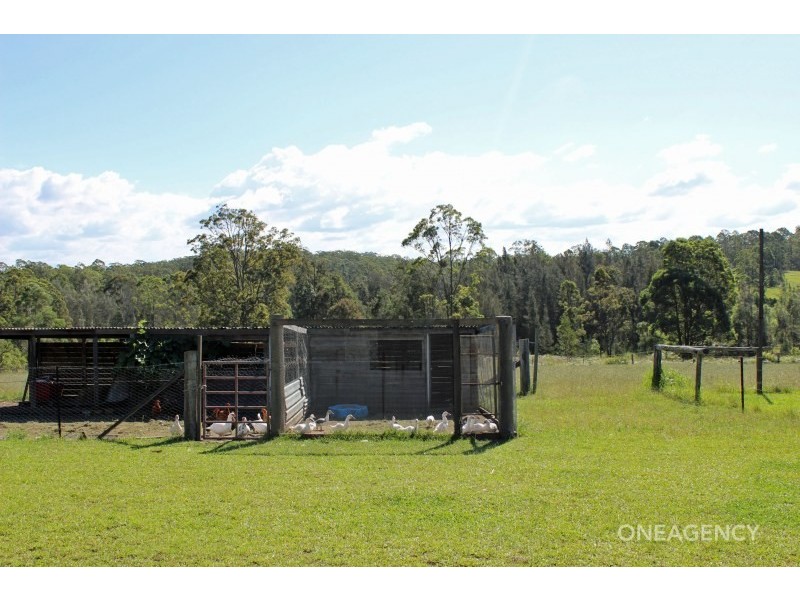 1317 Collombatti Road, Collombatti NSW 2440