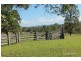 1317 Collombatti Road, Collombatti NSW 2440