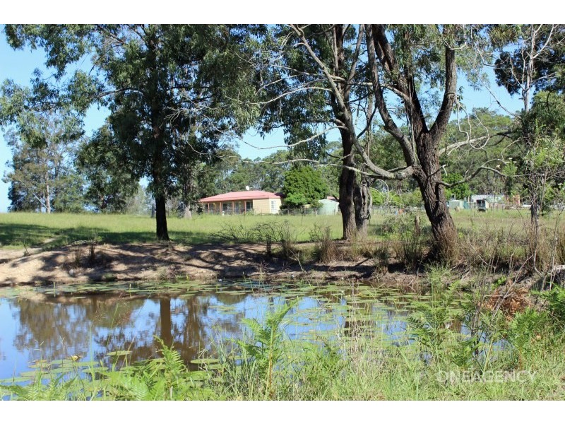 1317 Collombatti Road, Collombatti NSW 2440