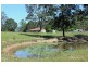1317 Collombatti Road, Collombatti NSW 2440