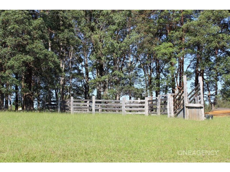 1317 Collombatti Road, Collombatti NSW 2440