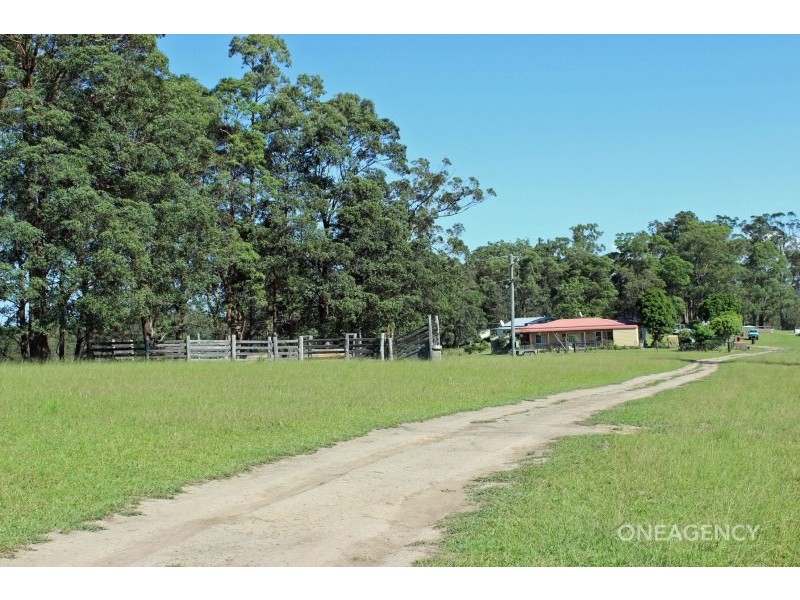 1317 Collombatti Road, Collombatti NSW 2440