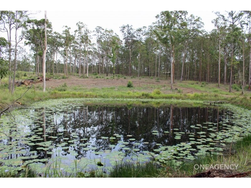 Lot 1/124 John Lane Road, Yarravel NSW 2440