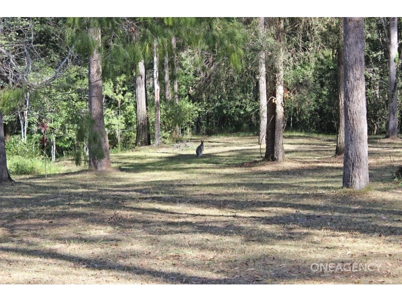 22 Hillview Drive, Yarravel NSW 2440