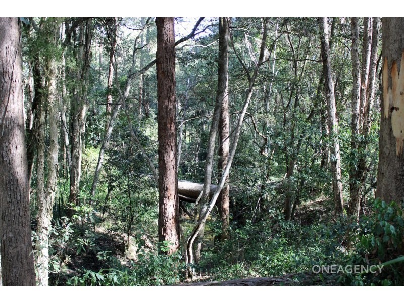 22 Hillview Drive, Yarravel NSW 2440