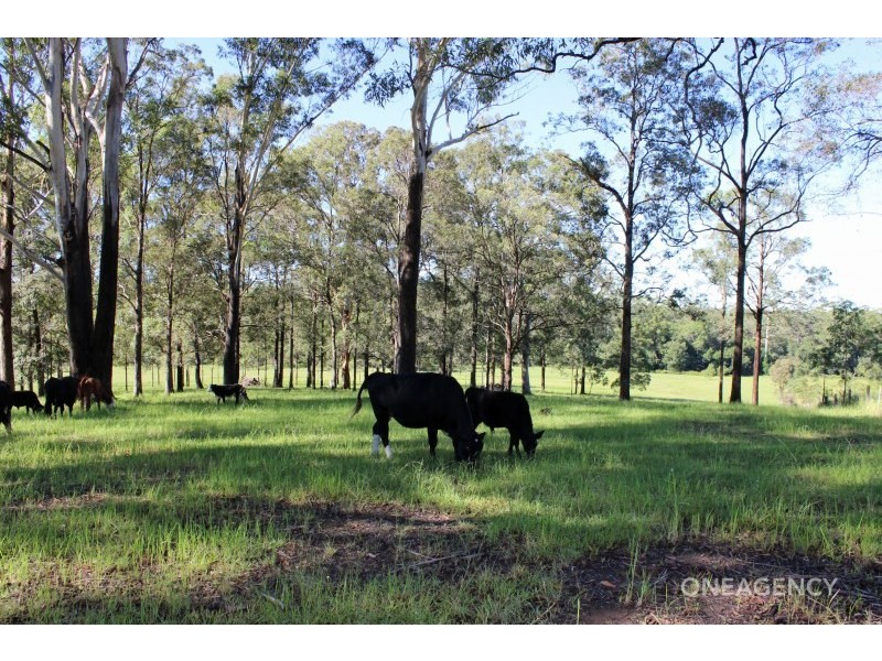 Lot 30,  Chain O Ponds Road, Collombatti NSW 2440