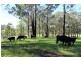 Lot 30,  Chain O Ponds Road, Collombatti NSW 2440