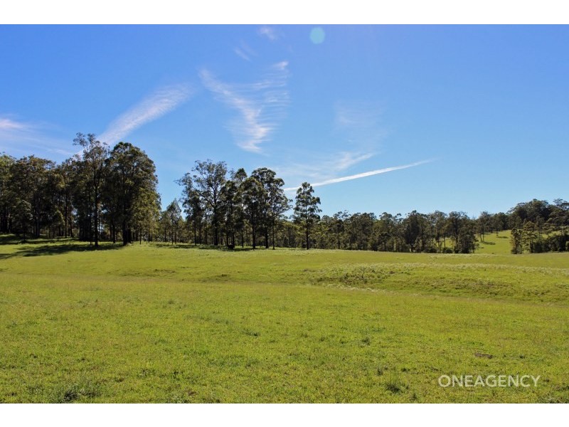 Lot 30,  Chain O Ponds Road, Collombatti NSW 2440